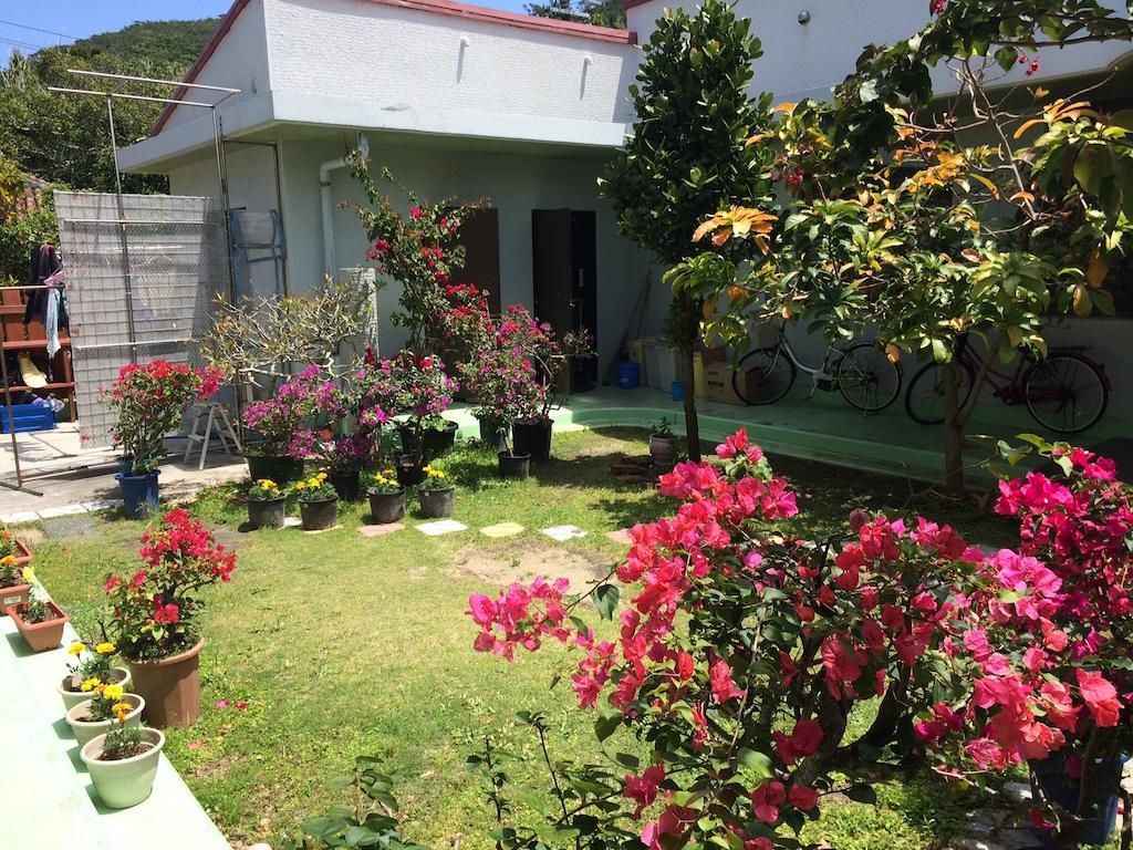 Patio House Reef Hotel Замами Екстериор снимка