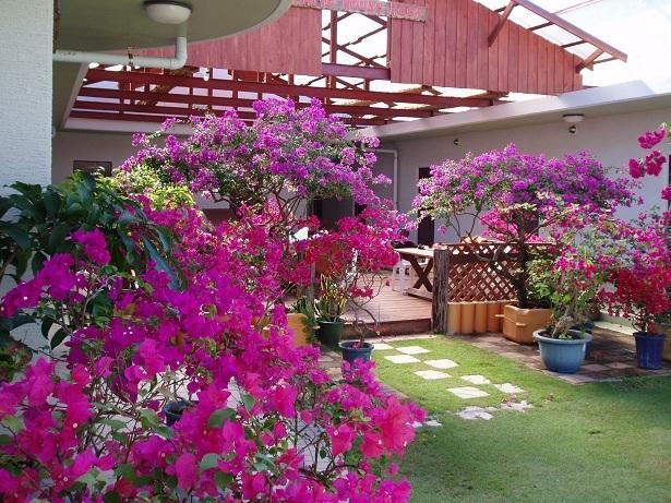 Patio House Reef Hotel Замами Екстериор снимка